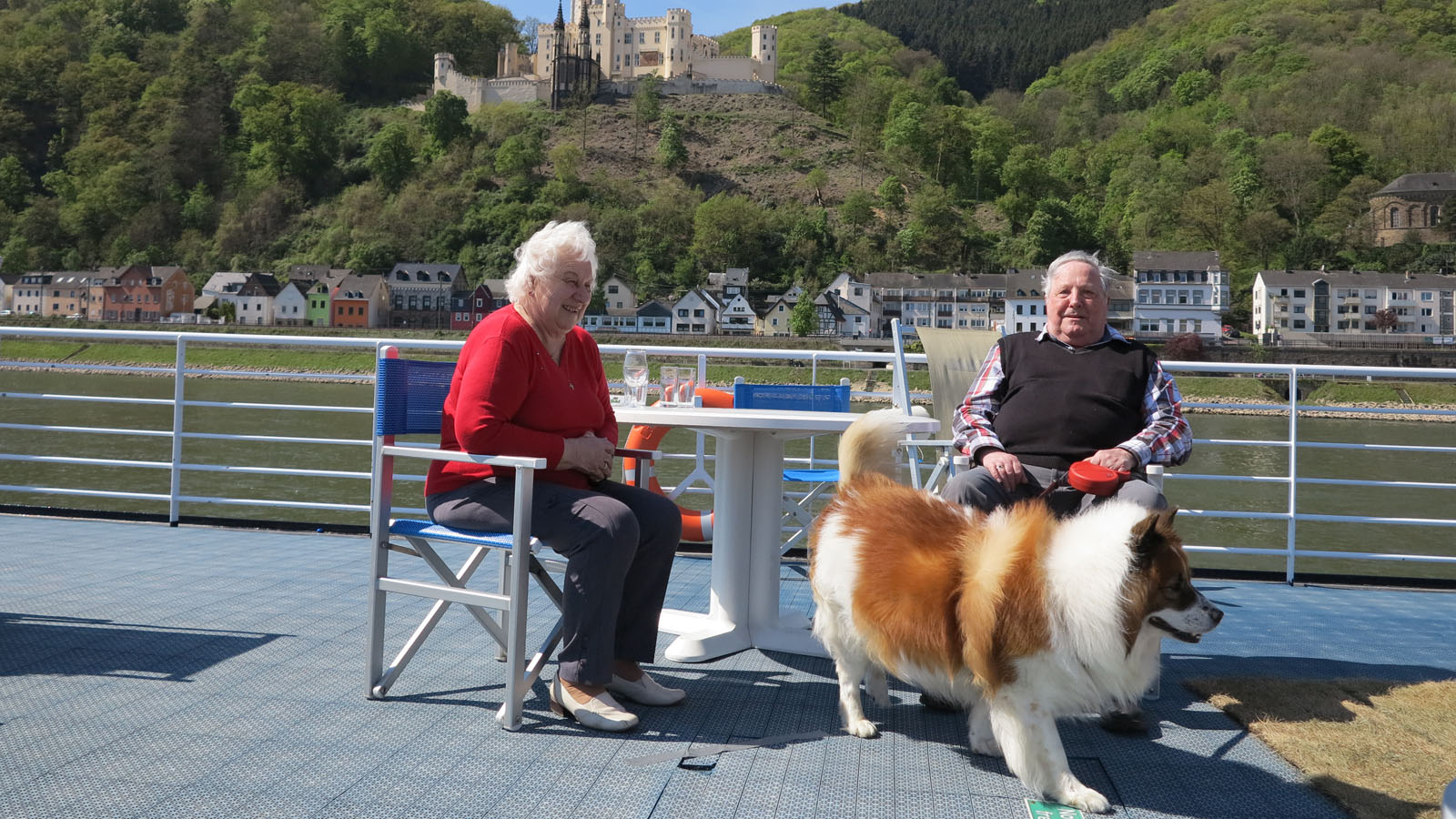 Ratgeber Mit dem Haustier auf Kreuzfahrt CruiseStart.de