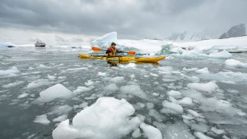 Mit der MS Fram von Hurtigruten in der Antarktis. Immer ein Abenteuer. Foto: Marsel van Oosten