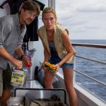 Romy (Nele Kiper) und Lars (Kristian Kiehling) haben für ihre Auftraggeber illegal seltene und wertvolle Korallen gesammelt und wollen diese an Bord des Traumschiffs nach Deutschland schmuggeln. Foto: ZDF/Dirk Bartling