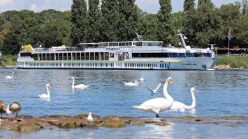 MS Elegant Lady auf dem Rhein bei Breisach. Foto: Oliver Asmussen/oceanliner-pictures.com